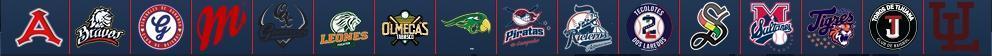 LMB Teams Logo